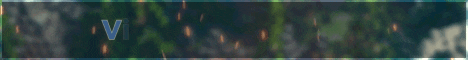 Vitalcore Banner