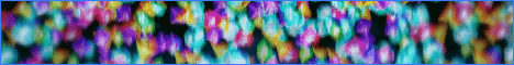 WurstSMP Banner