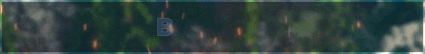 Play Bingo in Minecraft! Banner