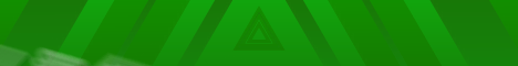 For fun  Banner