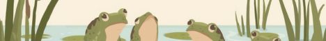 FroggieMC Banner