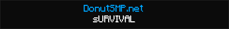 DonutSMP Banner