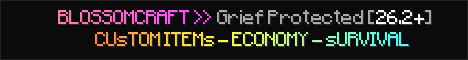 BlossomCraft Banner