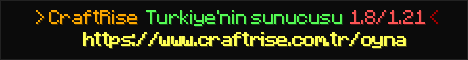 CraftRise Banner
