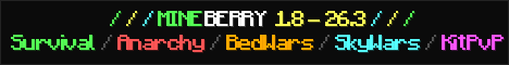 Mineberry Banner